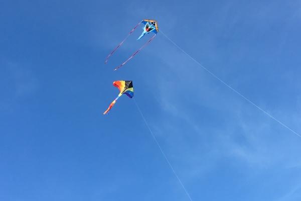 蛇跟虎在一起谁最倒霉 两人谁压谁