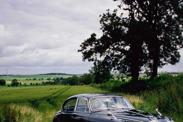 属兔和属虎的相克是真的吗 生肖上确实不协调