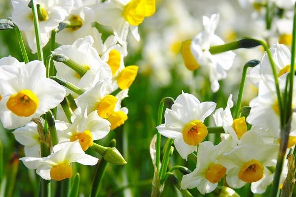 2024年横财入命的生肖 横财天降富贵无忧