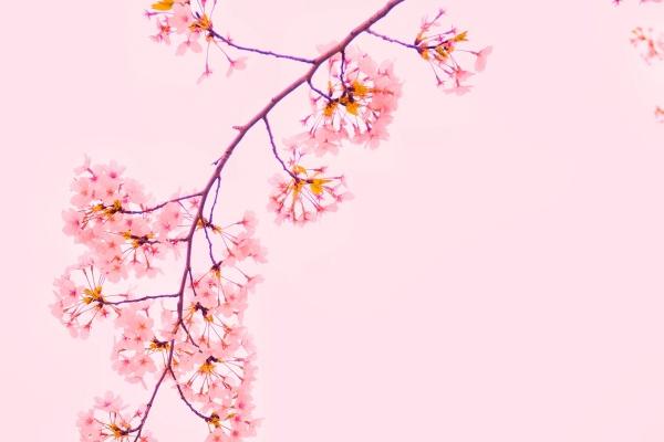 越是爱你就越会虐你的生肖男是什么