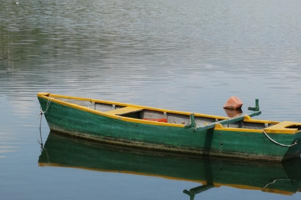 "爱情长跑!解密最适合久伴的四大生肖,陪伴一生,执手不离"
