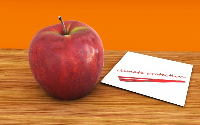 属兔2023年几月份搬家好，适合属兔搬家的月份