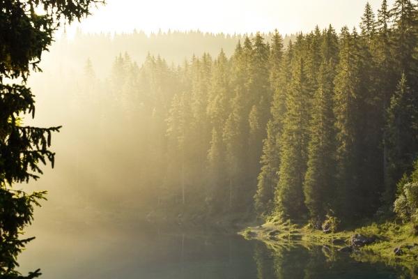男属蛇女属鸡配么 在一起谁旺谁