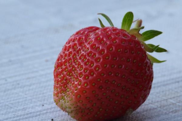 "爱的诱惑!揭秘最擅长勾引男人的生肖女,她们的魅力无法抗拒!"