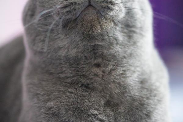 1997年属牛男和2000年属龙女婚配如何