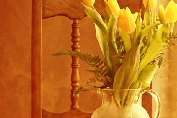 2024年不宜结婚的属相 对哪些生肖不利