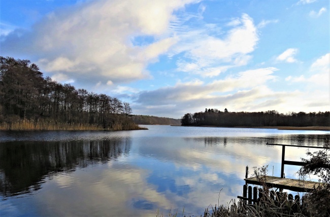 2023年属鸡下半年运势如何 会发什么事情