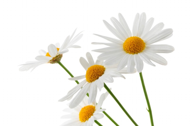 小孩龙年本命年能不能戴银，要注意什么