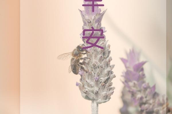 属兔男本命年要去五台山吗2023，需要注意什么