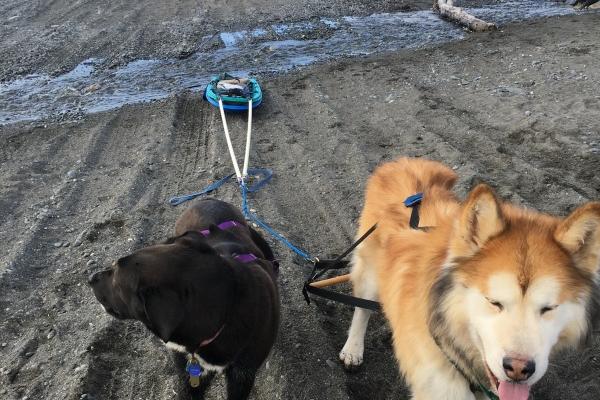 1974属虎的车牌号 属虎一生吉祥车牌数字