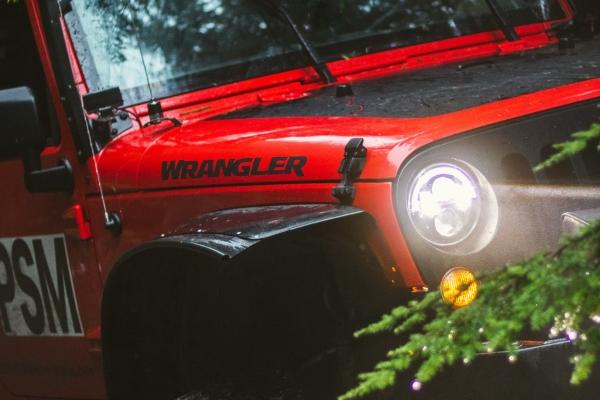 "爱情进化论:这四个生肖男,对恋人的关爱与成长之旅!"