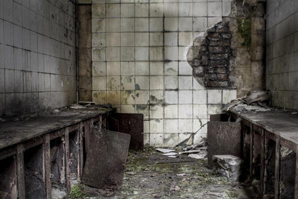 "越久越珍贵:探寻四大生肖中长久相识带来的无尽关爱!"