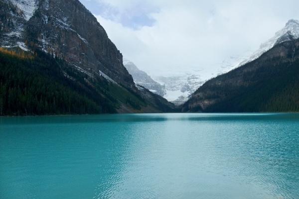 1月学习运最好的生肖2024年 虎猴蛇迎来学习运最佳时机