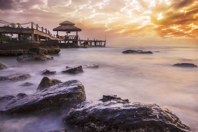 2024年1月健康运最好的生肖 龙马狗健康无忧