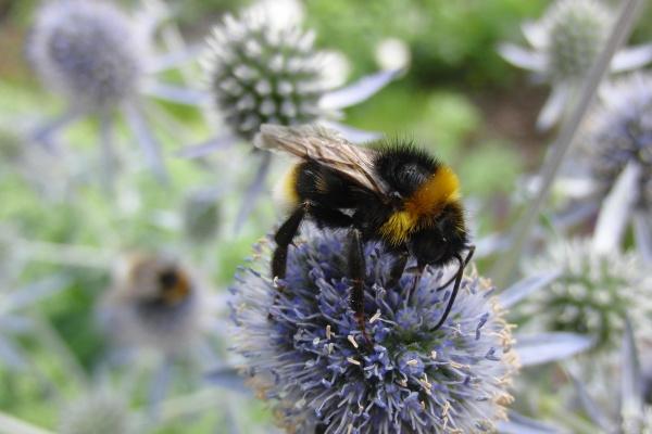 1974年属虎人一生必遭劫难，会遇到什么难题