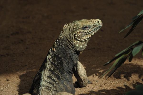 "翻篇无望!探究四大生肖中分手后无法成为朋友的情感绝情者!"