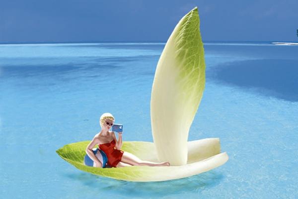 属猪2022年7月运势解析，压力较大需调整心态