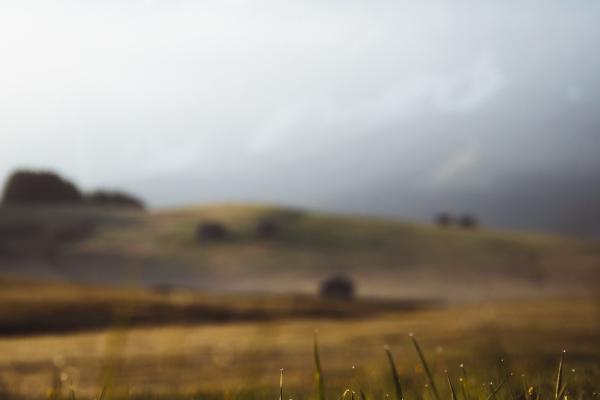 2024年什么属相有桃花，桃花运最旺的属相是谁