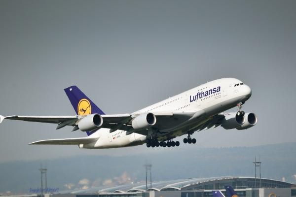 本命年能不能结婚 本命年不宜结婚的生肖