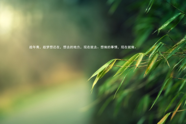 转运珠不能随便戴 本命年可以戴转运珠吗