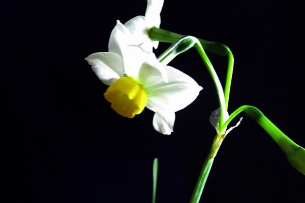 "爱情殇后的断绝联系!揭示四大生肖中永远无法成为朋友的情感绝缘体!"