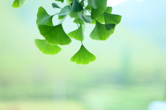 1972年是属什么生肖 和什么生肖最合