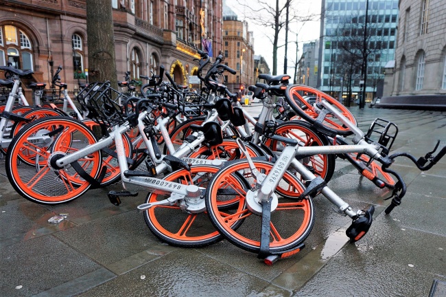 "爱情的奴隶!揭秘四大生肖中最容易陷入情感泥沼的天真恋人!"