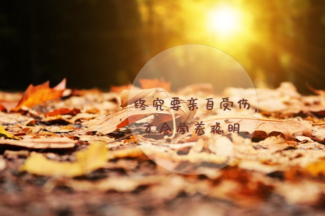 2024运气最好的生肖 猪龙鼠总有惊喜出现