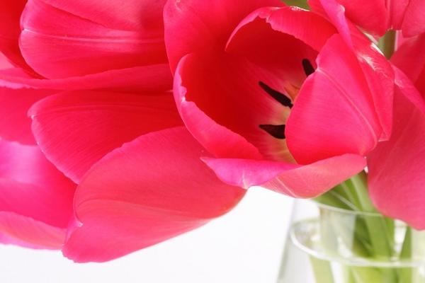 本命年转运珠可以自己买吗 谁买毕竟合适