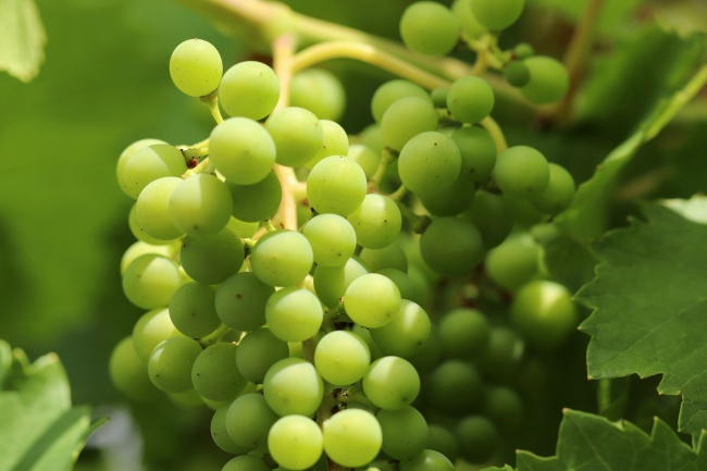 2023年下半年生肖感情复合运势，哪些属相与前任复合