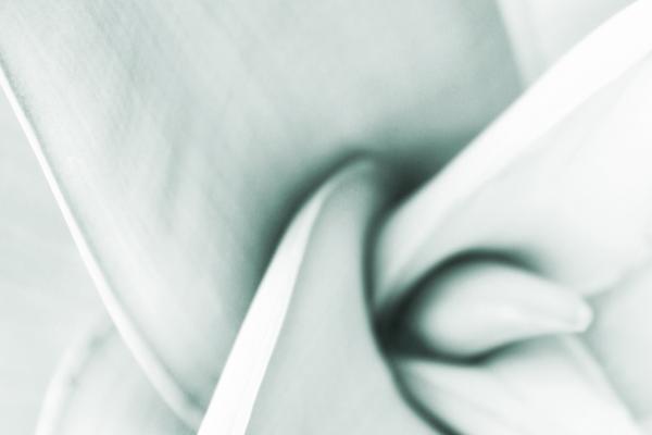 97年的牛和99年的兔相配吗，牛和兔结婚好不好