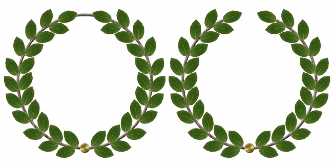 84年鼠40岁桃花劫，如何化解