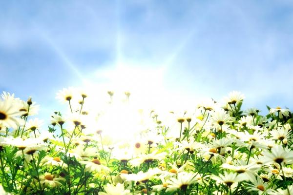 "感情的烈焰燃烧!四大生肖男中最易冲动的爱情狂热者!"