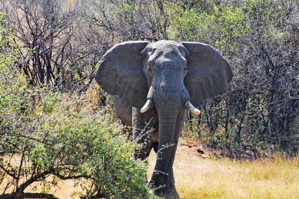 72年属鼠52岁三大坎坷，会遇到什么坎