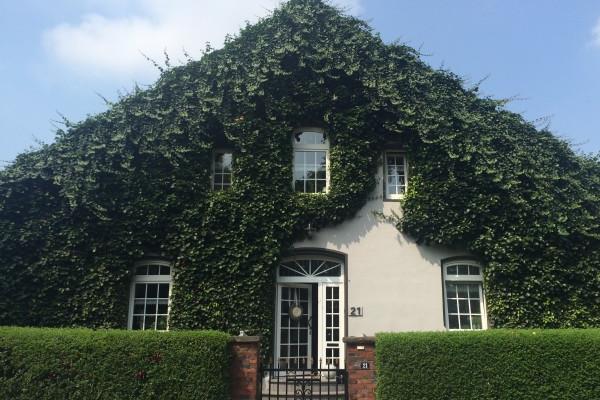 "爱与激情的绝妙交织!四大生肖男中最容易冲动的情感冒险家!"