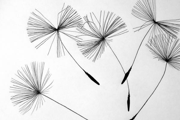 2023年属羊人几月发横财，什么时候财运最旺