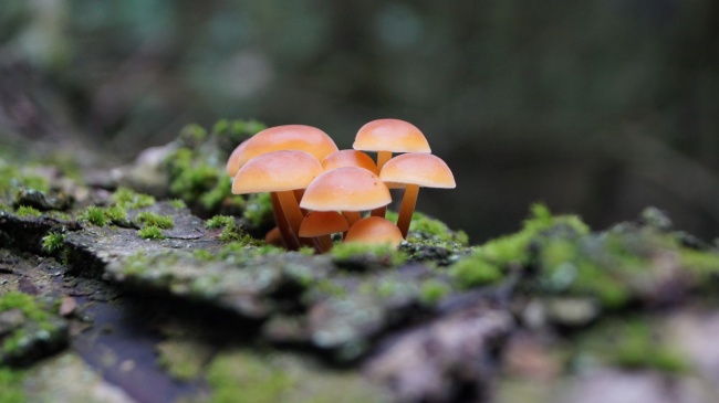 "幸福婚姻预言!探寻2023下半年迈向婚姻的四大幸运生肖!"