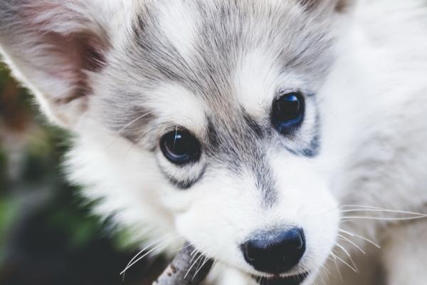 第一运程 2023年7月22日十二生肖运势解析