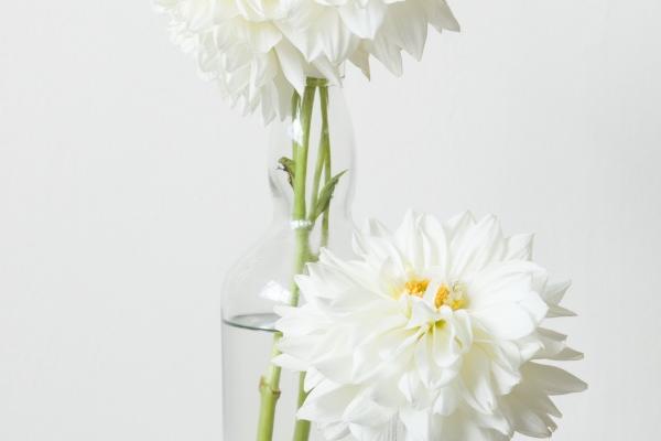 第一运程 2023年7月26日十二生肖运势解析