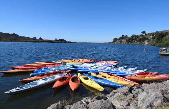 "爱情收获季!2023下半年四大生肖迎来婚姻的甜蜜曙光!"