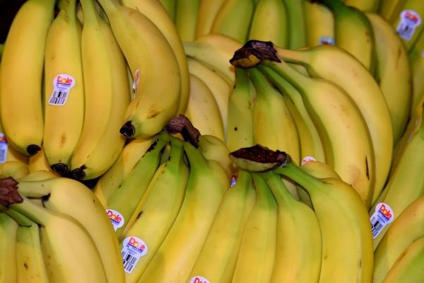 2023年7月6日生肖相冲 每日冲煞查询