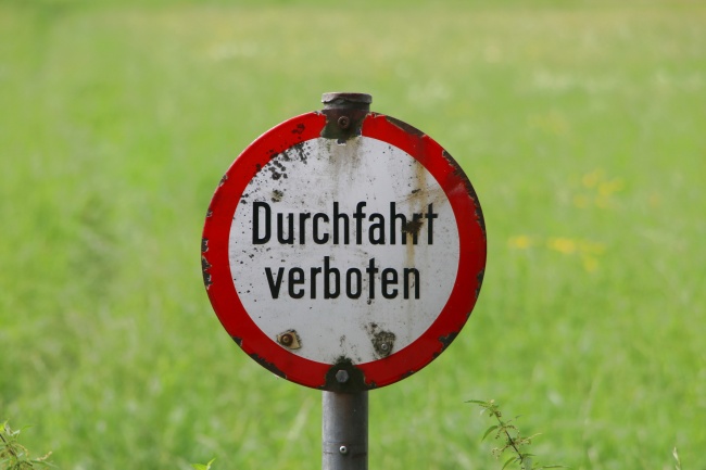 98年属虎26岁女孩运气如何,98年属虎2024年运势发展如何