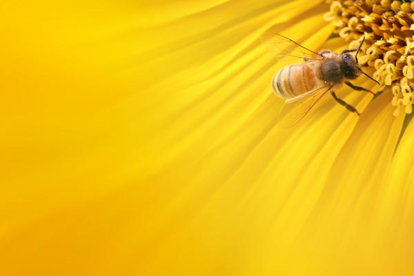 2023年7月13日冲什么生肖 时辰相冲对照表