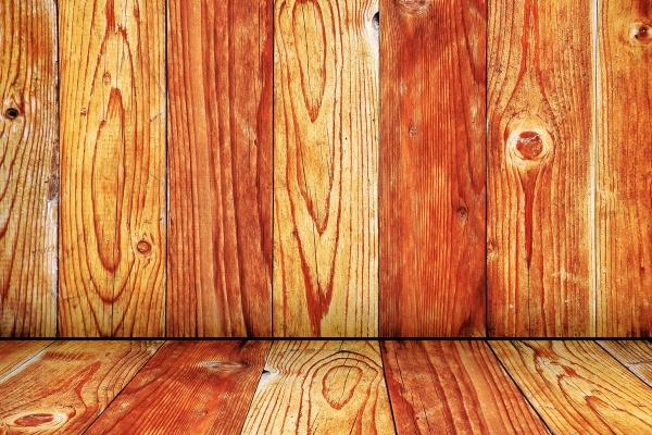 "坚韧不拔的生肖猛兽!揭示四大生肖的倔强本性与无法驯服的特质!"