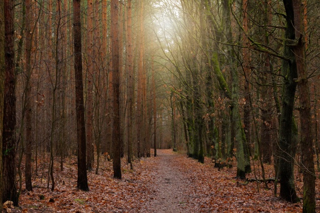 "脆弱的爱情纪元!四个生肖女引领易受辜负的时代潮流!"