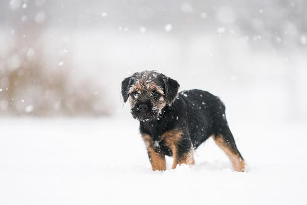 2024年最顺利的4大属相 轻松轻松获得好运