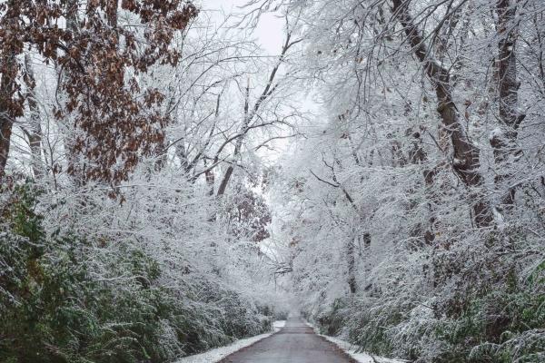 2003属羊男孩一生的命运 能不能过上好日子