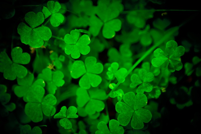 2024年下半年运势最差的生肖男 是不是你呢