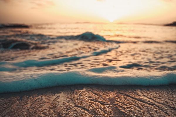 "反常行径揭秘!四大生肖男散发独特魅力,对待好他却不珍惜!"