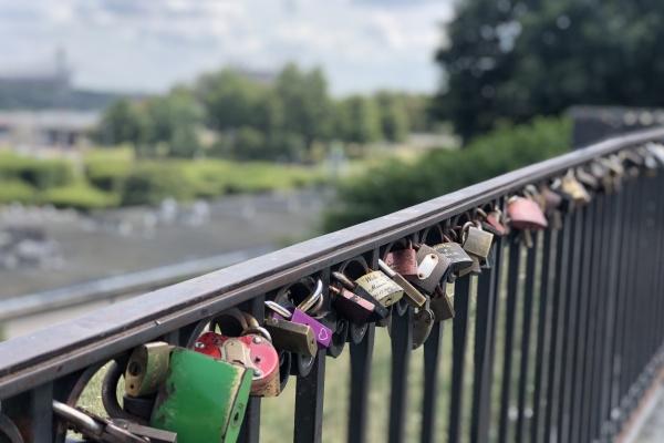 "狡猾绝伦!揭秘那些让人难以算计的四大生肖智慧大脑!"